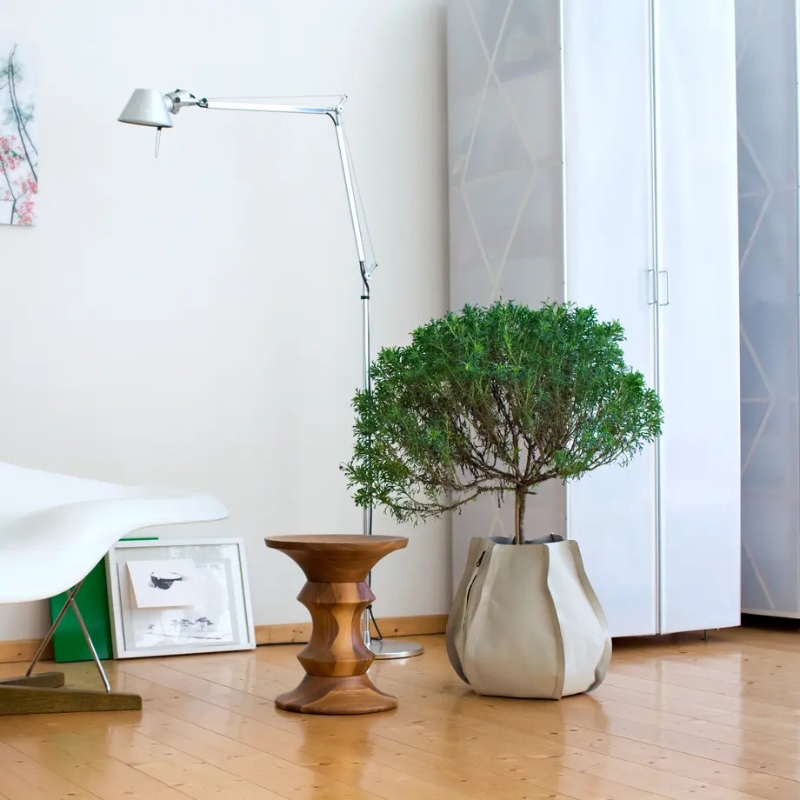 authentics sack plant vaso a sacco in tessuto non tessuto beige con pianta all'interno