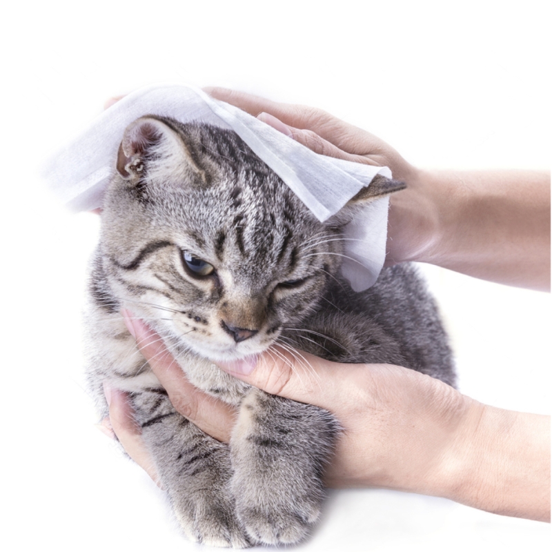 Napkin Kit 12 Salviette Compresse Rinfrescanti e Igienizzanti GO 08 - immagine 5