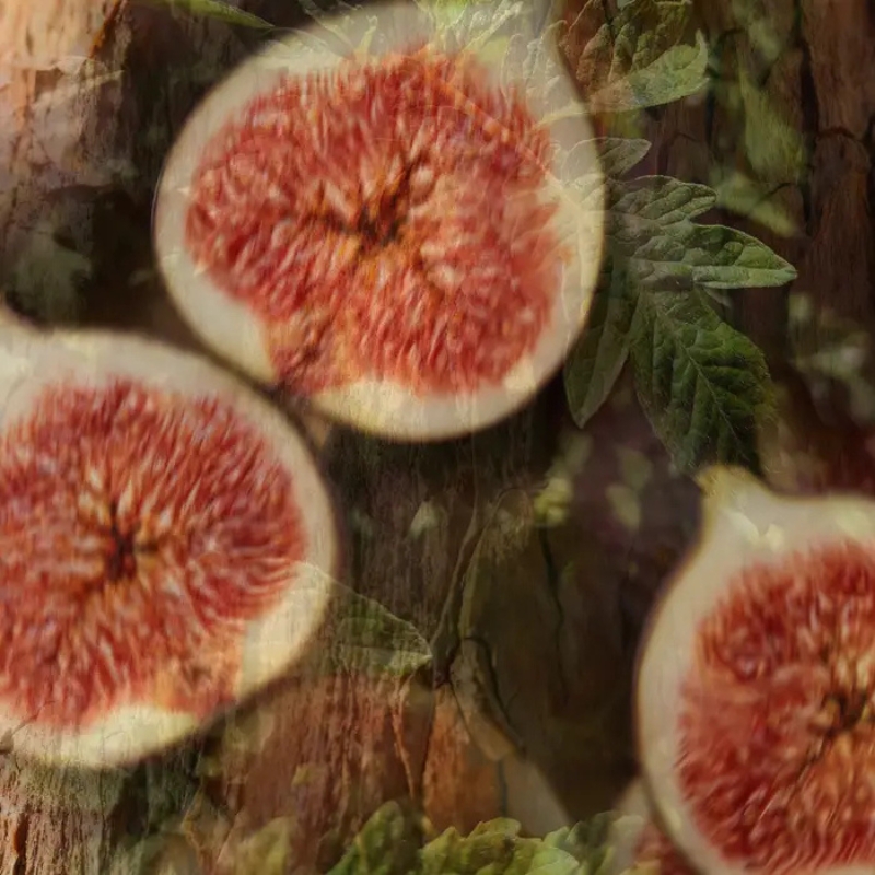 Dr. Vranjes Firenze Fragranza Ambiente Fico Aromatico - immagine 4